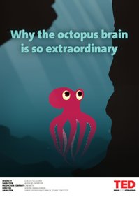 Octopus - Veronica Wallenberg