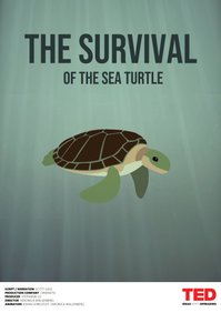 The survival of the sea turtle - Veronica Wallenberg